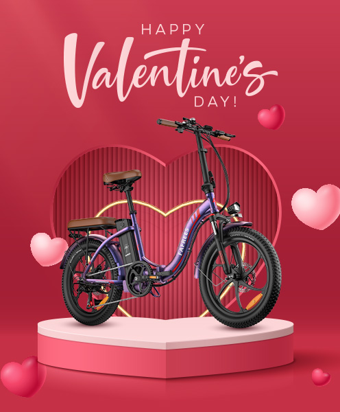 Farfrees Ebike boxshot