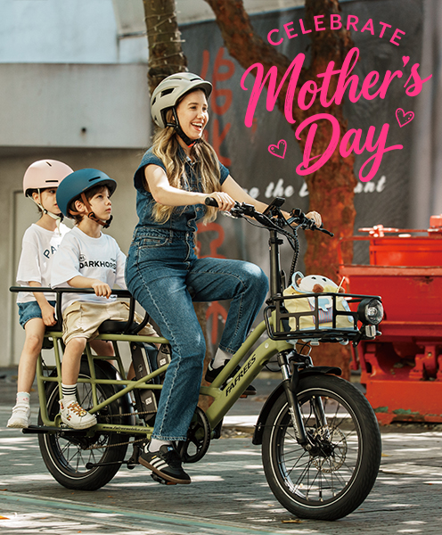 Farfrees Ebike boxshot